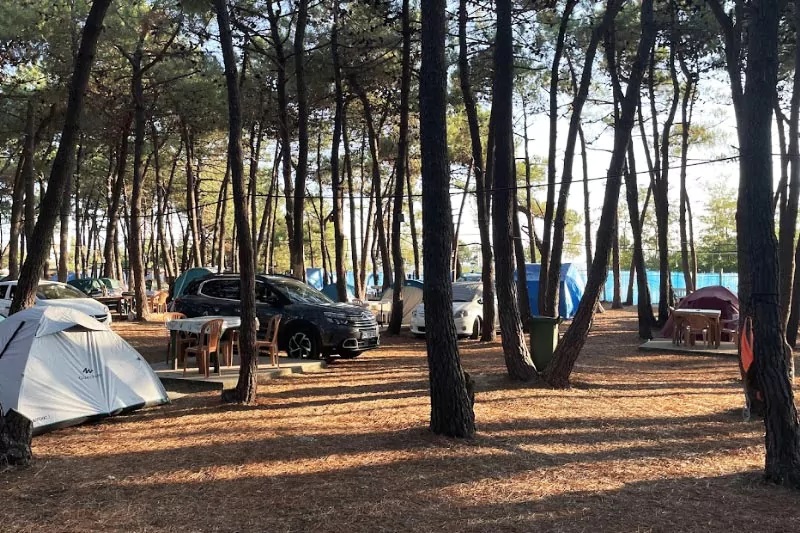 Çamlık Kamp - Erikli Kamp Alanı